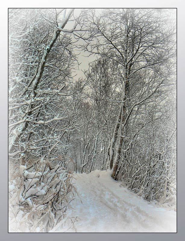 Октябрьский снегопад фото превью