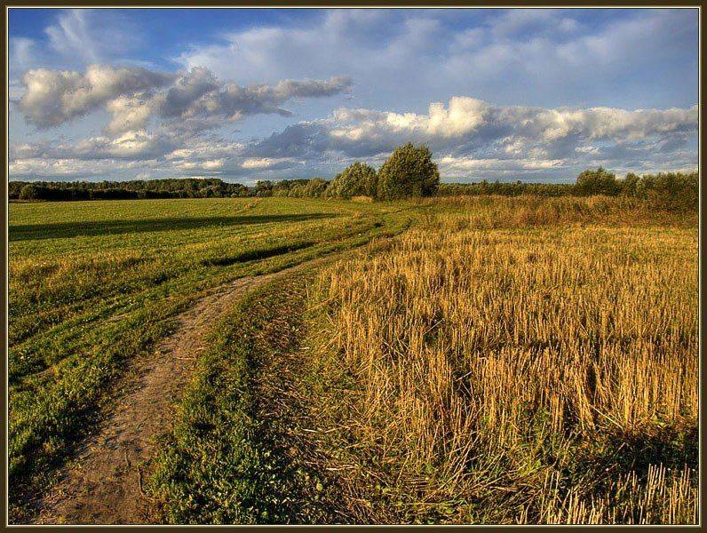 осень, Георгий