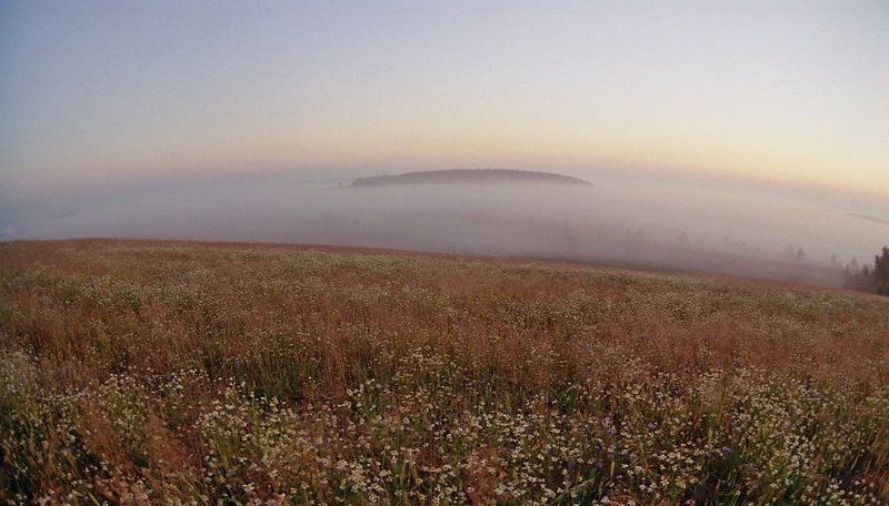 Рассвет, туман, Талашкино, остров На краю земли. Остров. фото превью