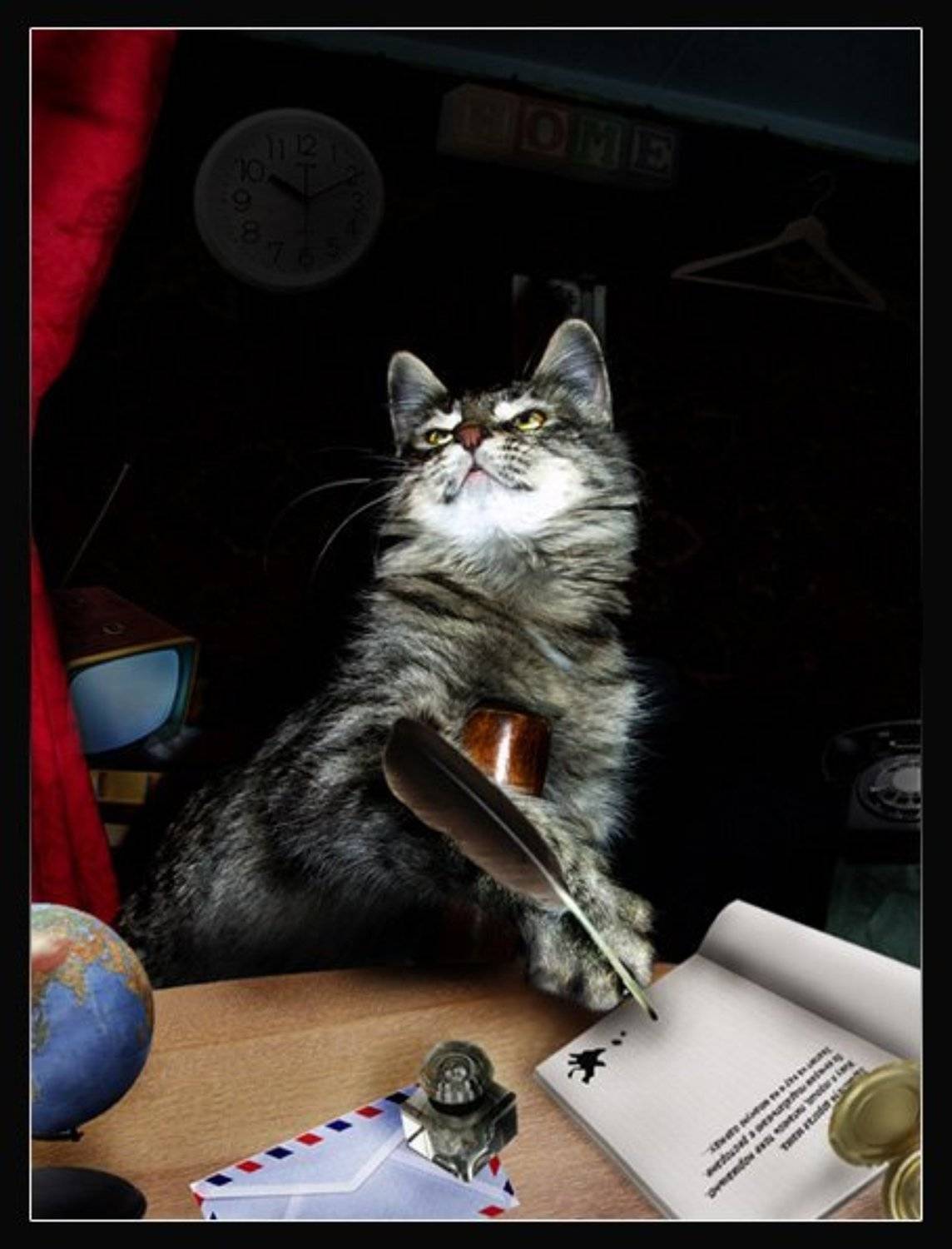 кот, наоборот, письмо, Алексей