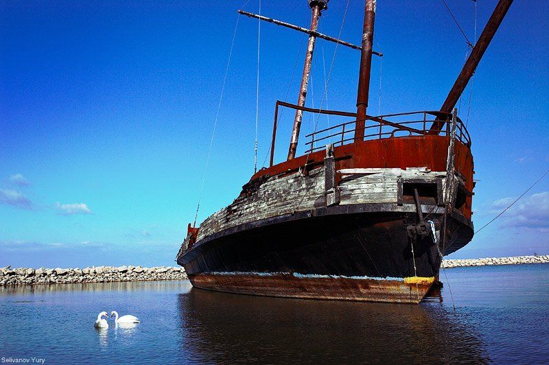 1st1, canada, ship  фото превью