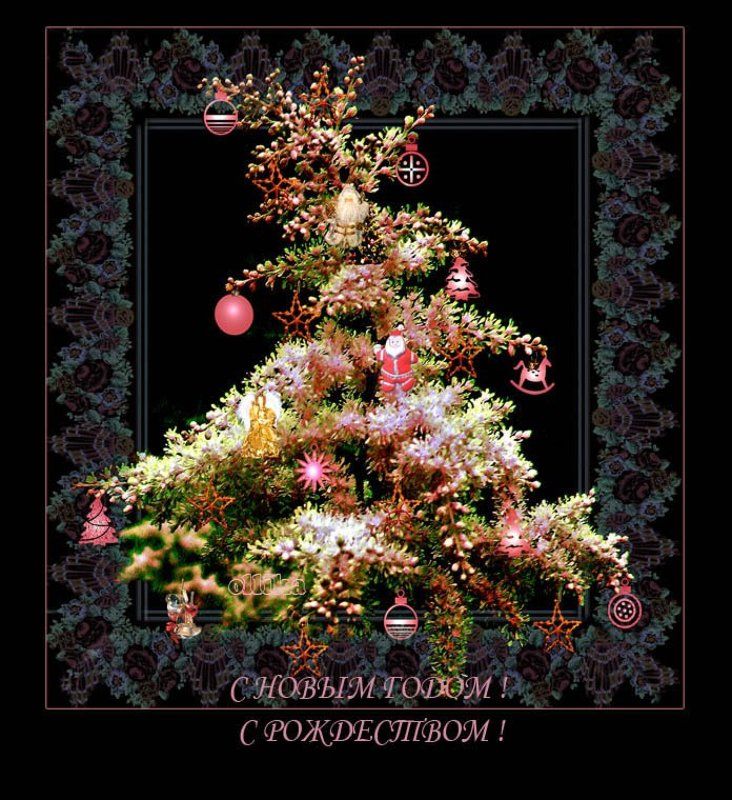 Новый, год, спирея. цветущая Елочка садовая... Летняя фото превью