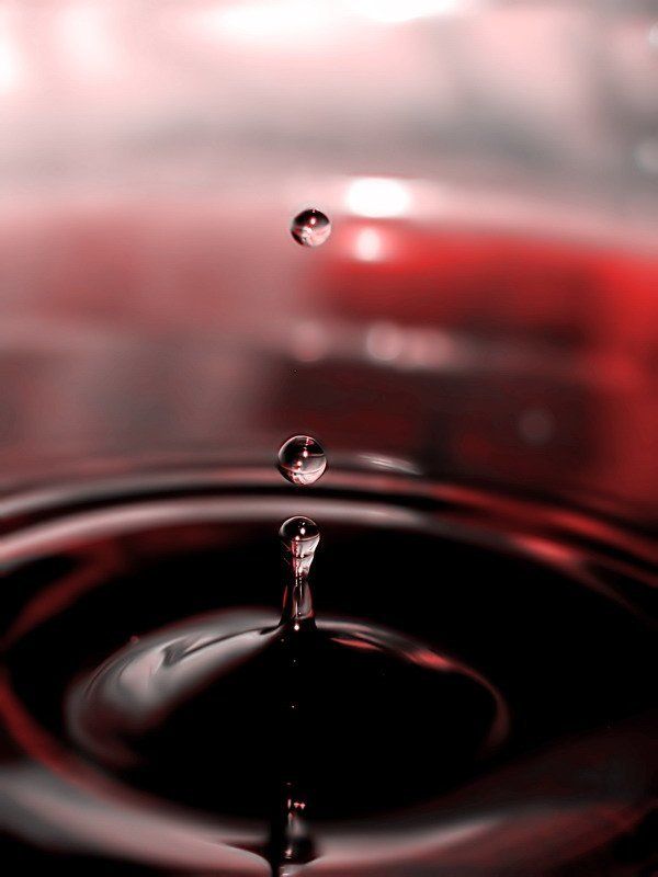 капельки Капельки фото превью