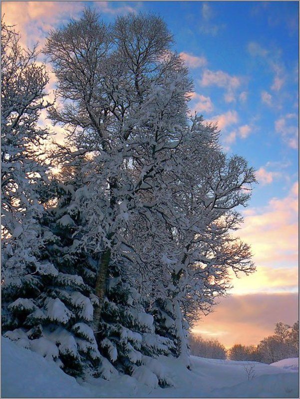 С наступающим 2007 годом!!!!! фото превью