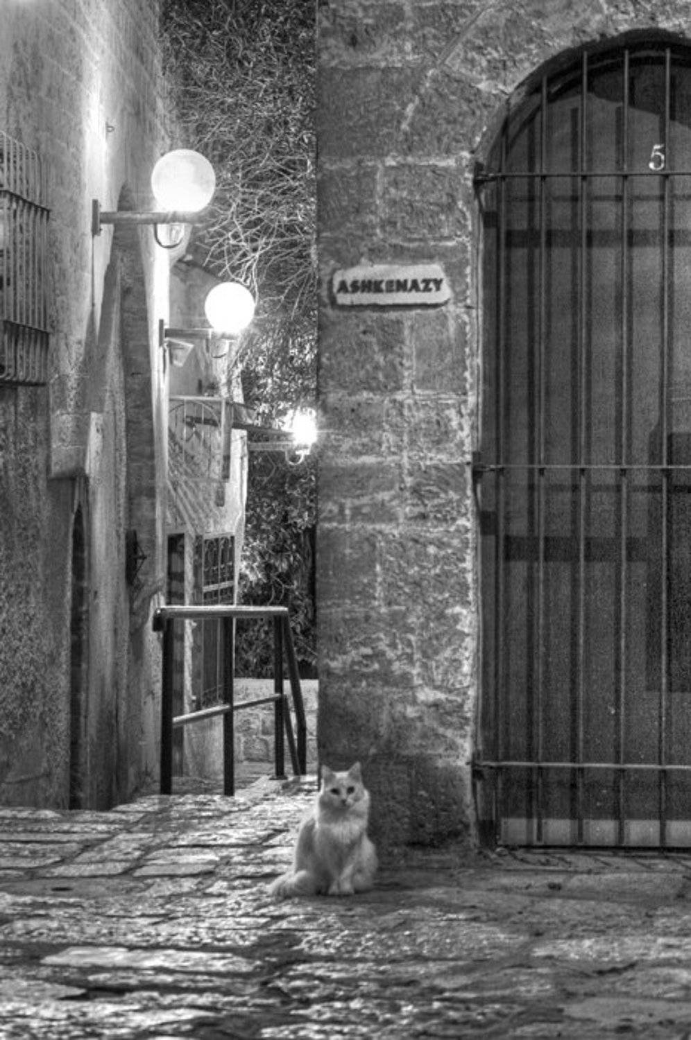 IgalSc, Old Jaffo, IgalSc