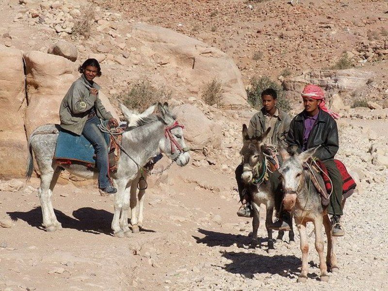 Иордания, бедуины Погонщики мулов фото превью