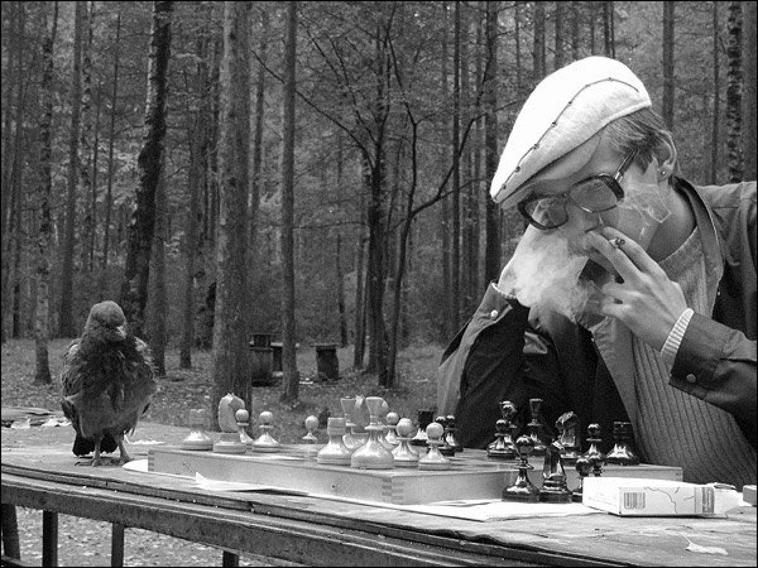 шахматы, CTEPX