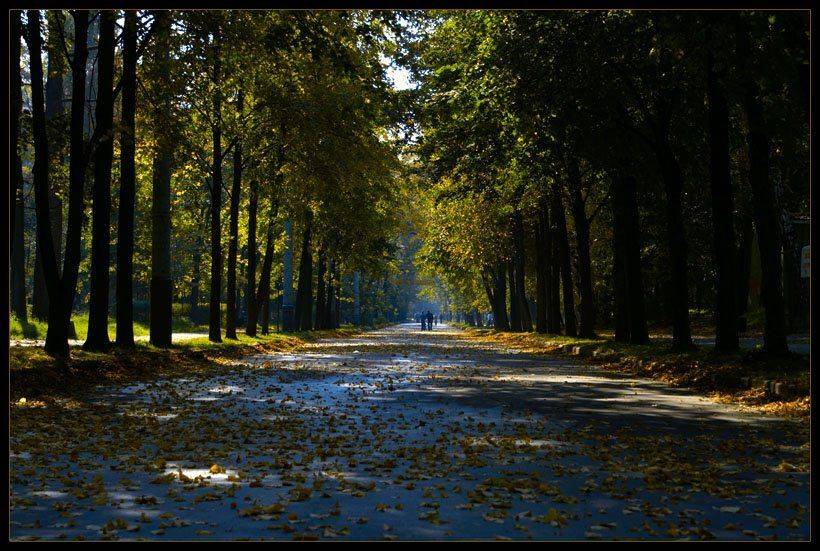 осень, сокольники, Fantom