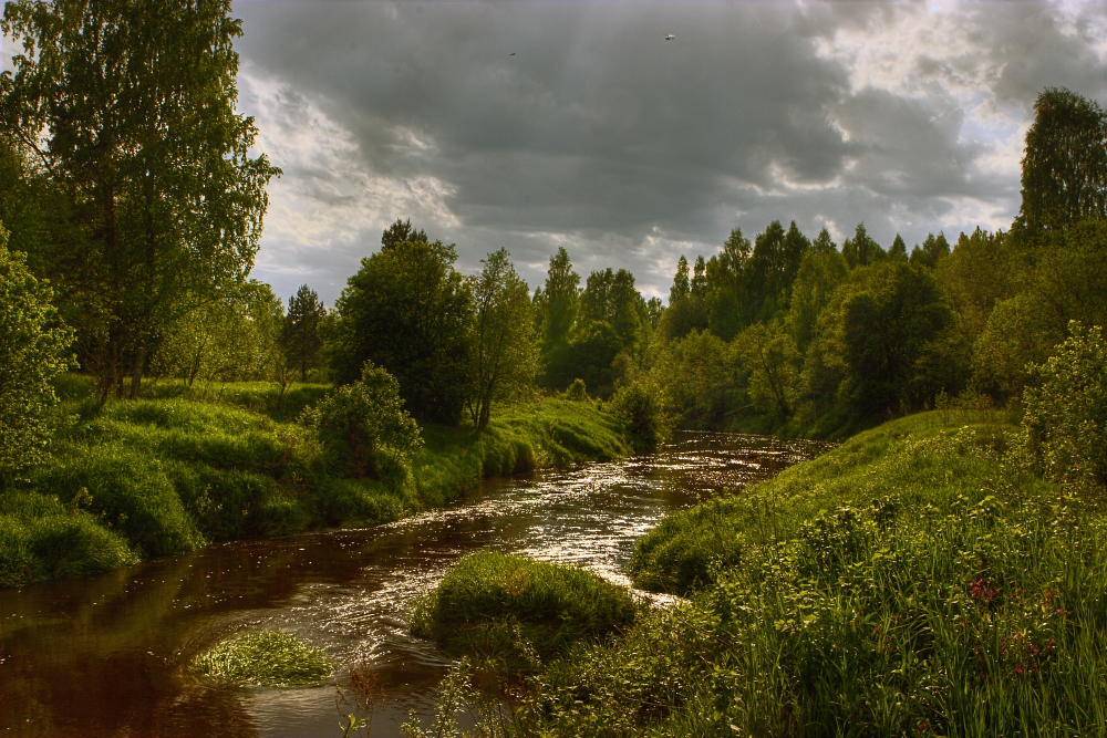 , Владимир Липецких