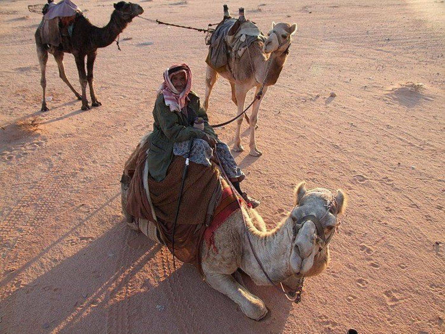 Иордания, Вади Рам, SVD