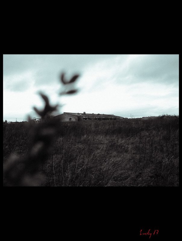 природа,развалины,память Люди забывают,а природа разрушает фото превью