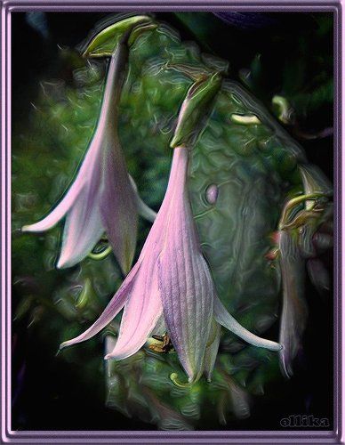 В Берендеевом царстве ...