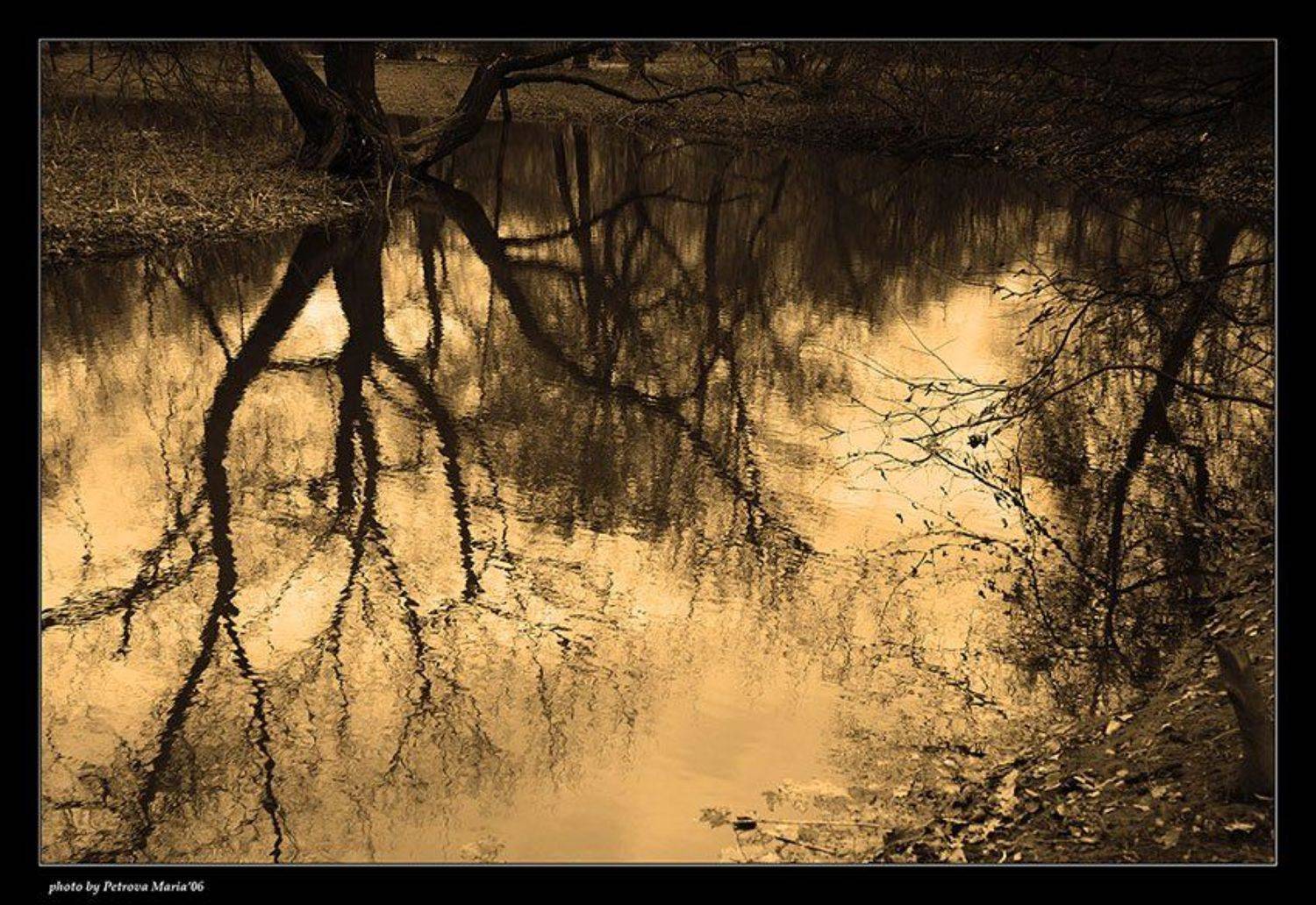 отражения, Петрова Мария