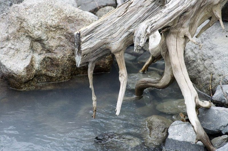 Жажда фото превью