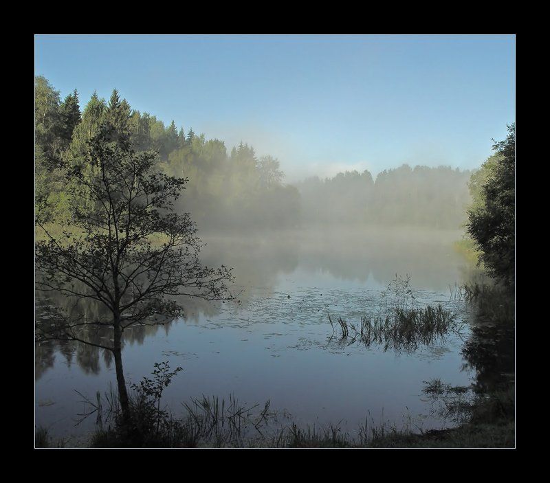 селигер туман протока утро про туман ... фото превью