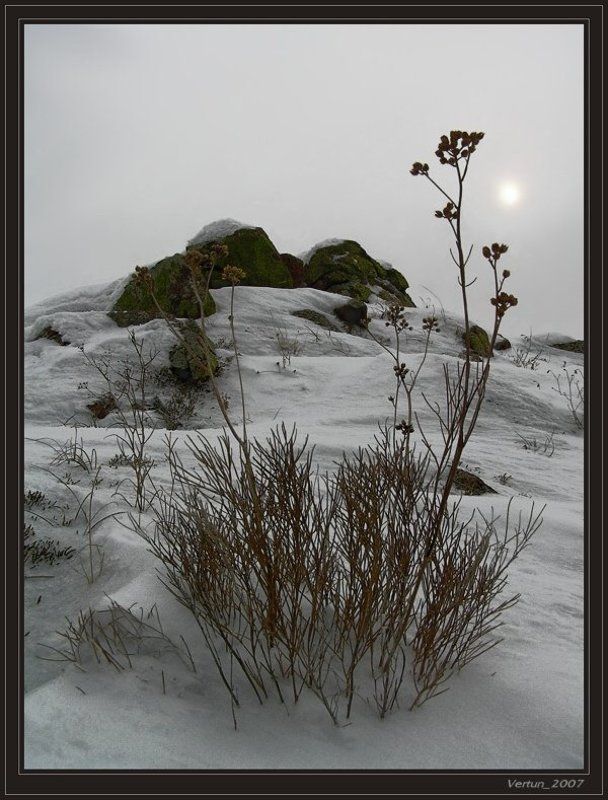Остатки летней красоты... фото превью