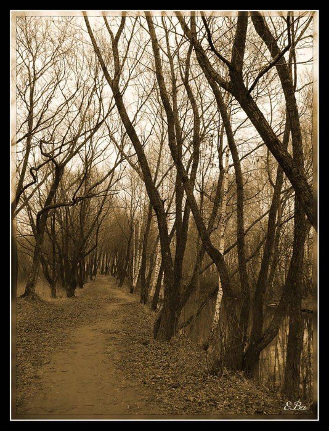 природа, Екатерина (PhotoJourneys.ru) Васягина