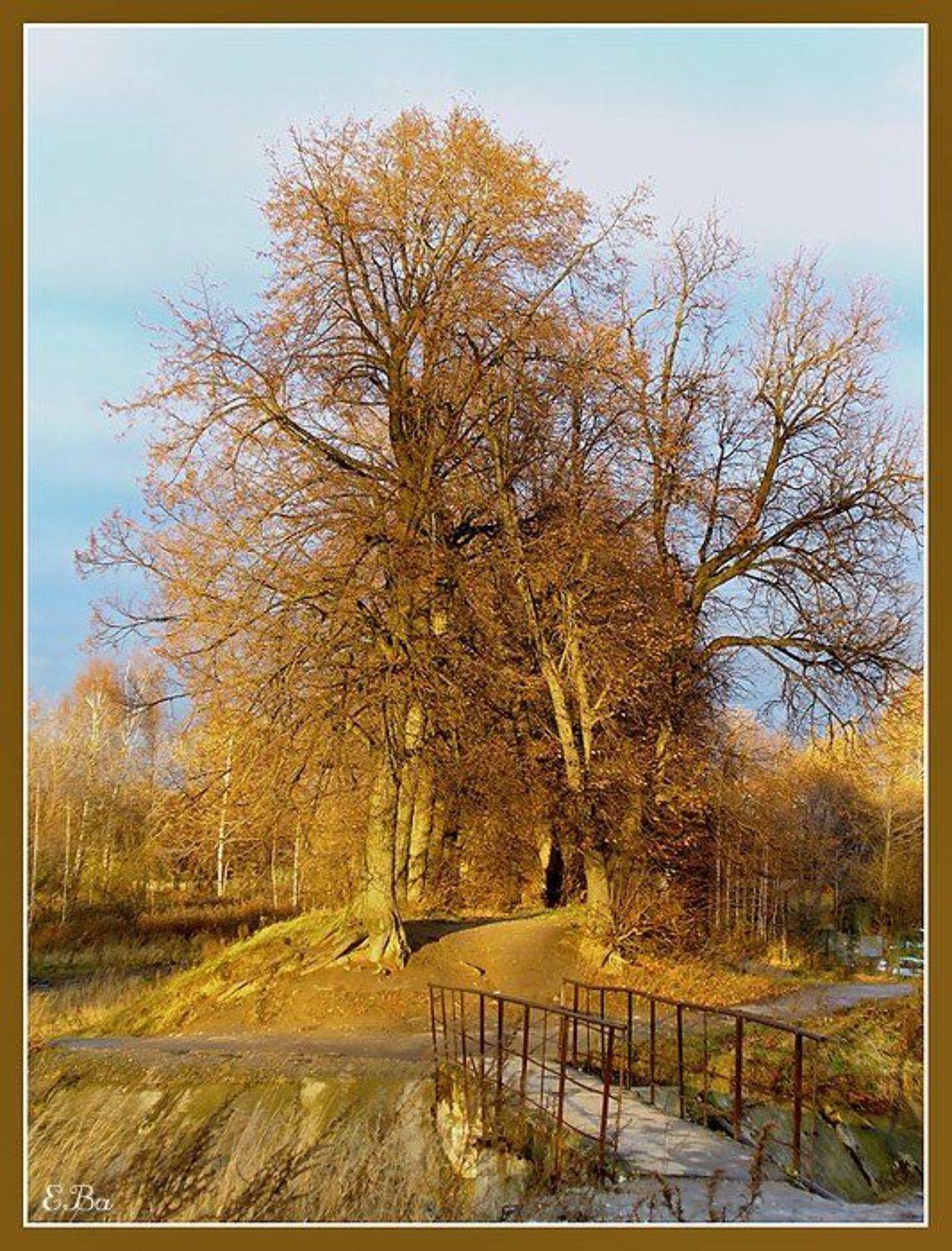 солнце пруд, Екатерина (PhotoJourneys.ru) Васягина