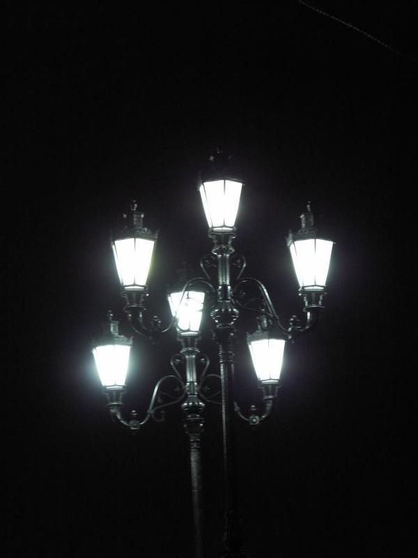 мск Ночные светлячки фото превью