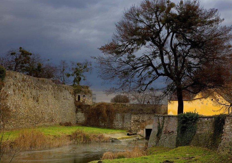На графских развалинах (репост) фото превью