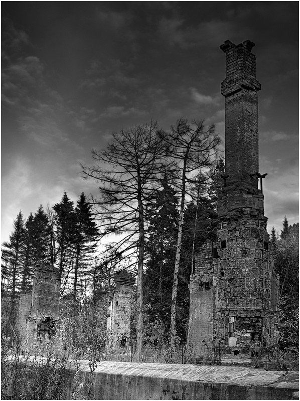 лес осень печи разруха усадьба все что осталось ... [2] фото превью