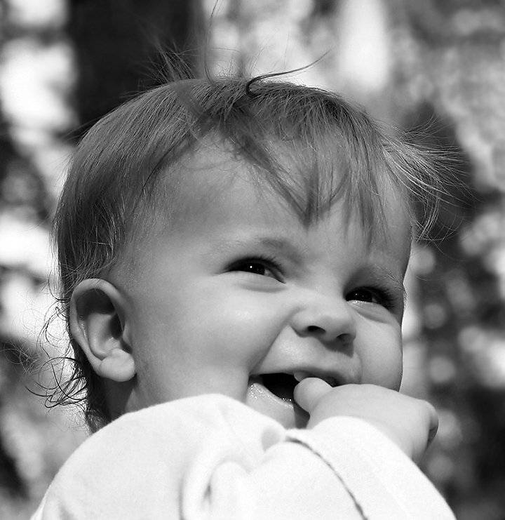 Сосны, вечер, солнце, Alexey