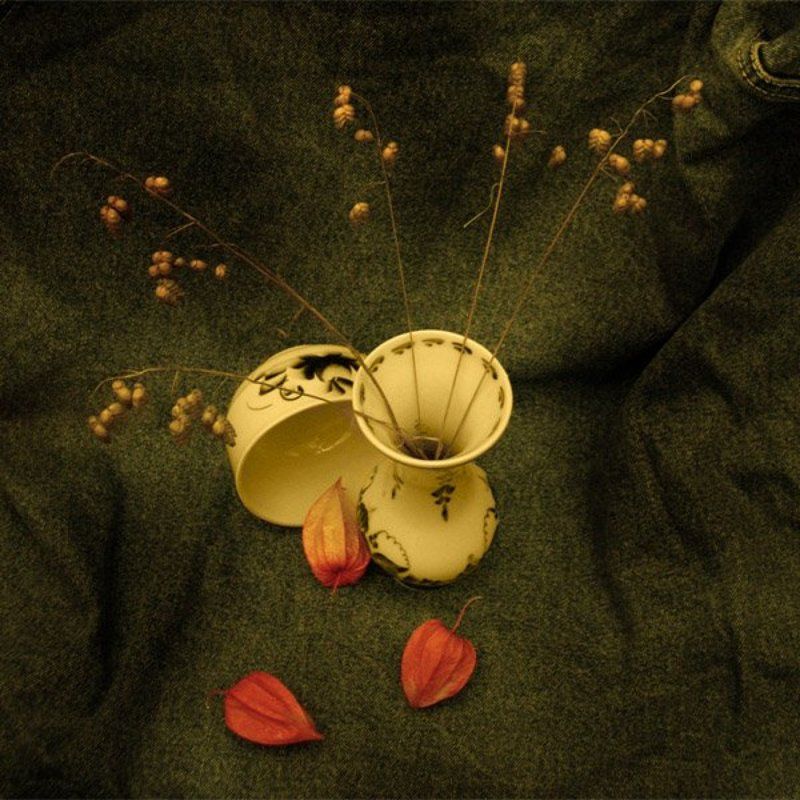 сухоцвет *** фото превью