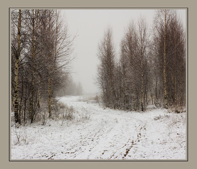 Дорогой зимнею... фото превью