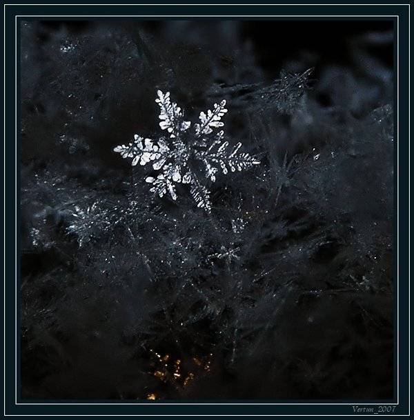 снежинка, Игорь Глушко