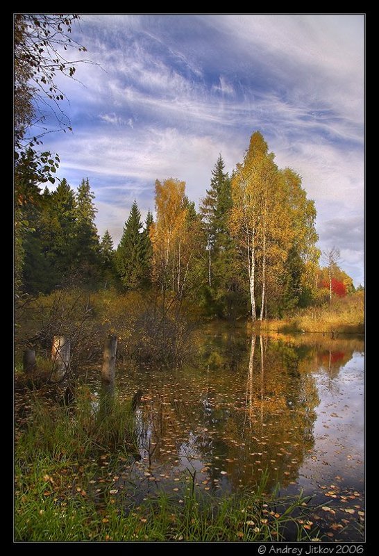 подмосковье, победа, осень, октябрь, пруд, листья, деревья, photohunter Осенний подмосковный пейзаж фото превью