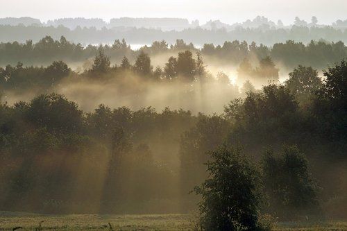 Мажорный аккорд утра