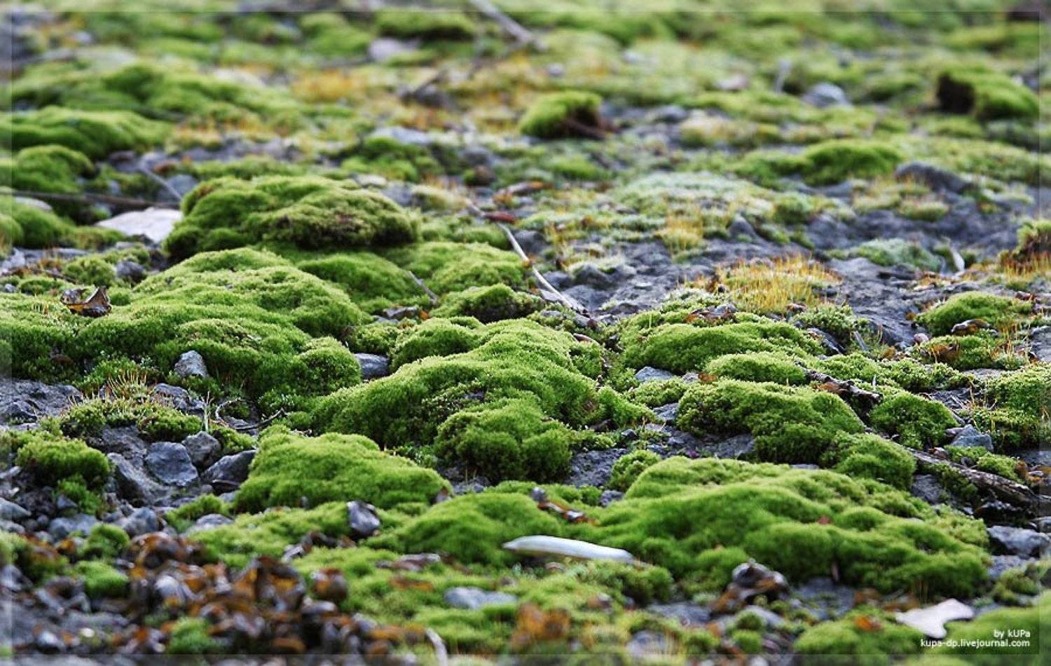 Днепропетровск, Nature, kUPa, kUPa