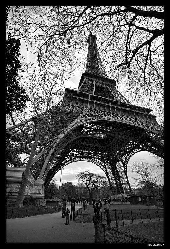 Paris, seleznev La lady couverte фото превью