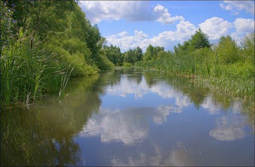 Река Лесной Воронеж (Тамбовская обл.)