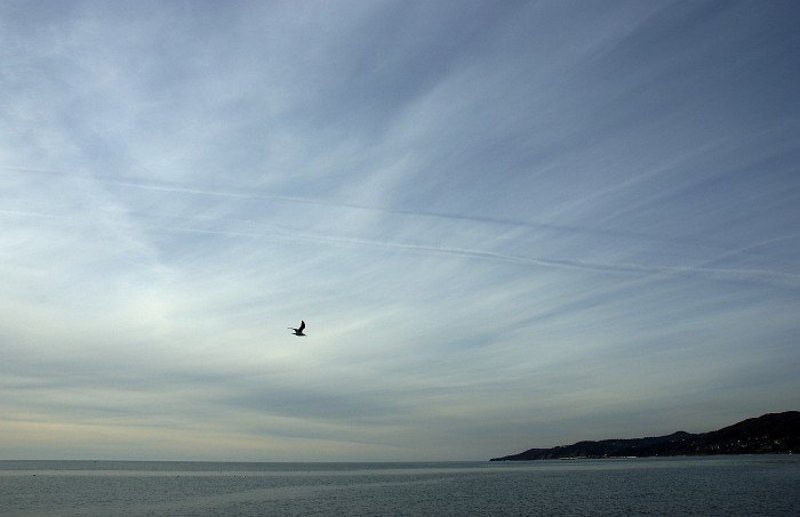 осень, море, просто, штиль  фото превью