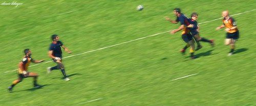 Ребят, ну дайте хоть потрогать..