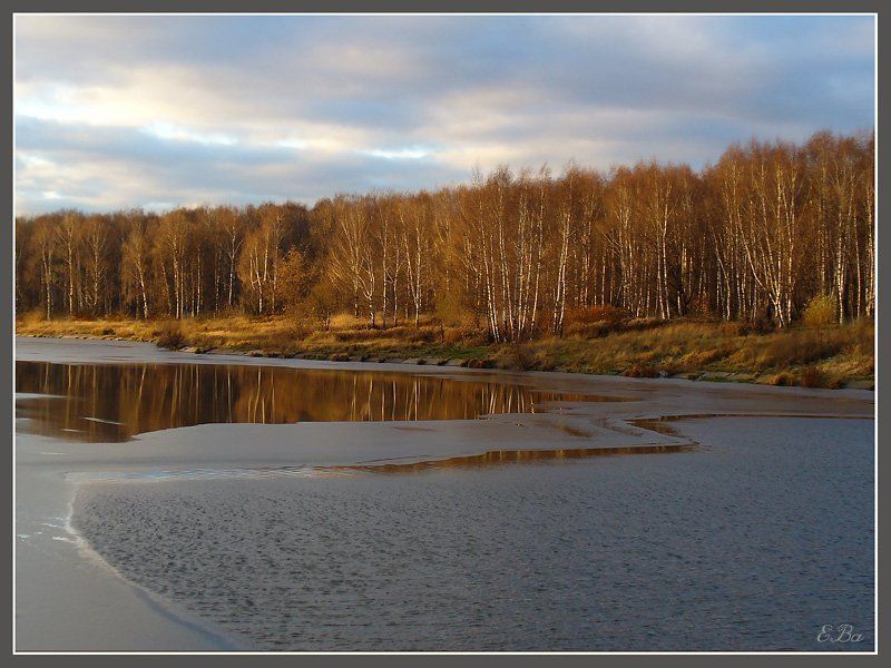 пруд Первые холода... фото превью