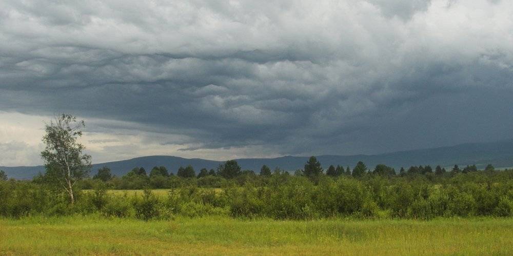 Бурятия, Восточные Саяны, Аршан, тучи, гроза, дождь, Олег Шубаров