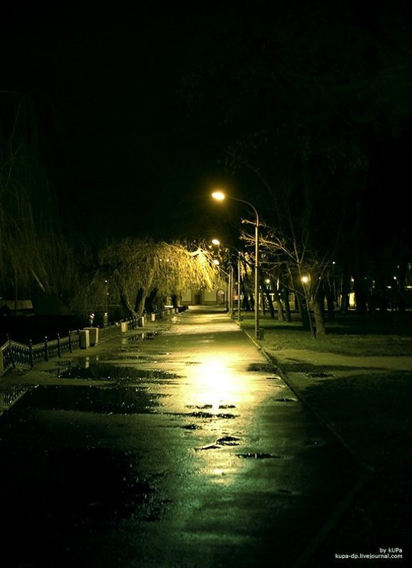 Днепропетровск, kUPa Таинственный парк #2 фото превью