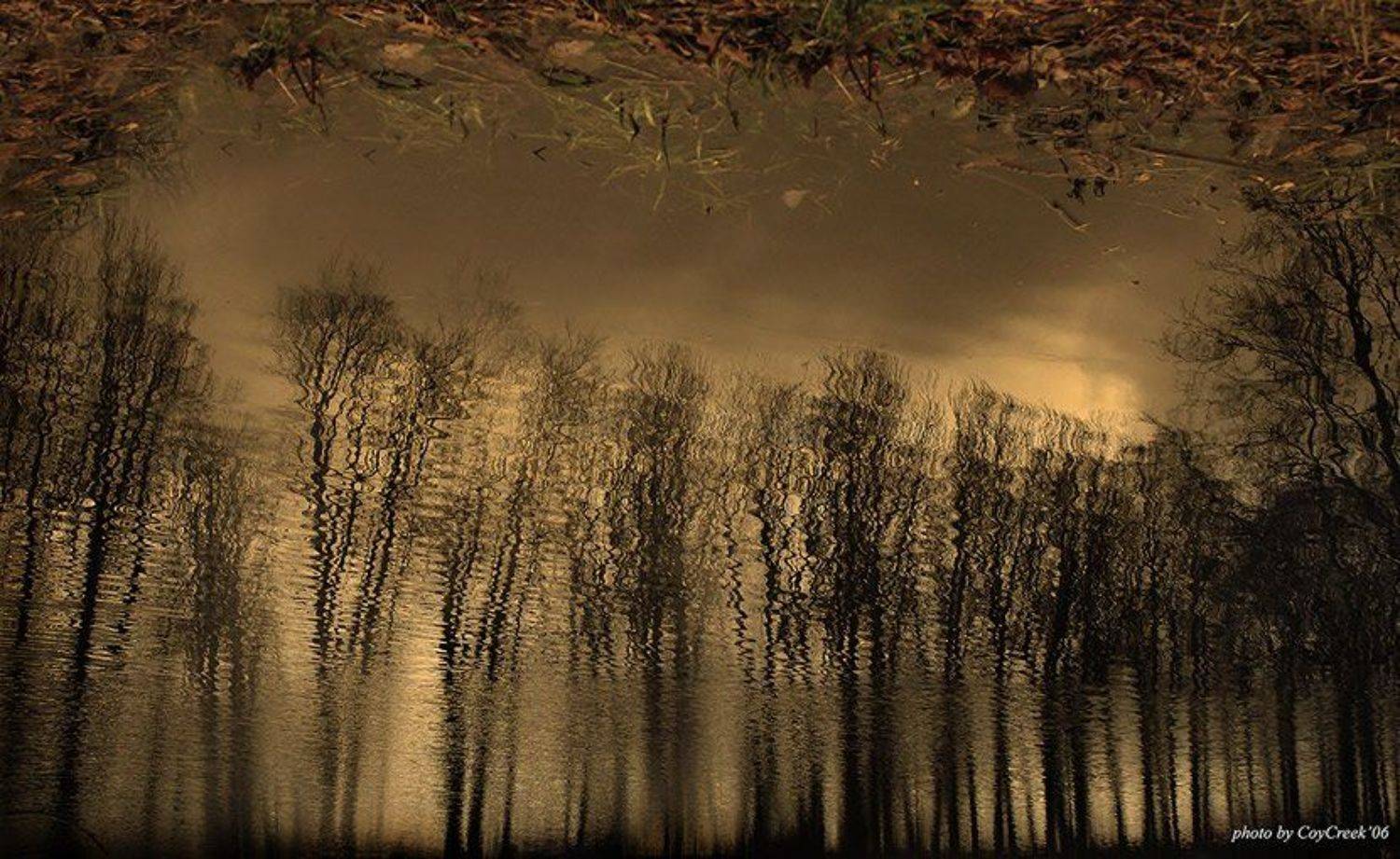 золотые, зеркала, Петрова Мария