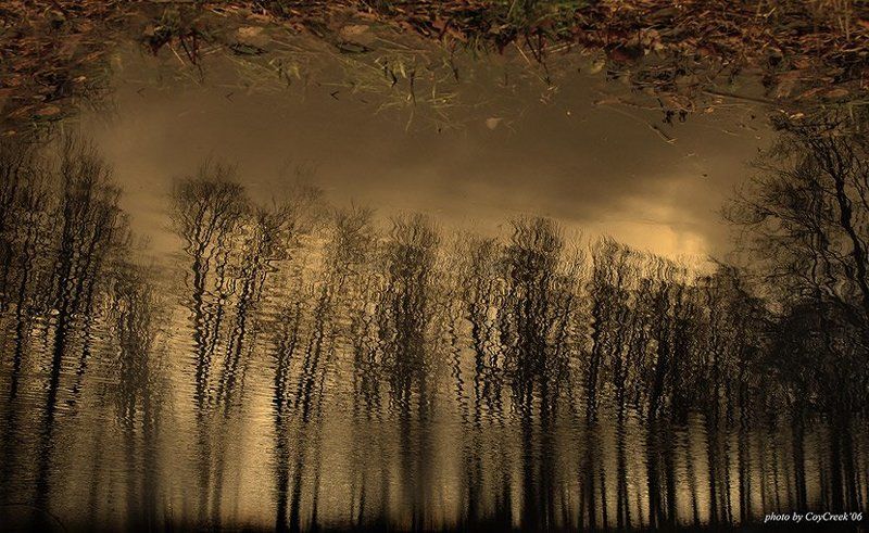 золотые, зеркала Золотые зеркала фото превью