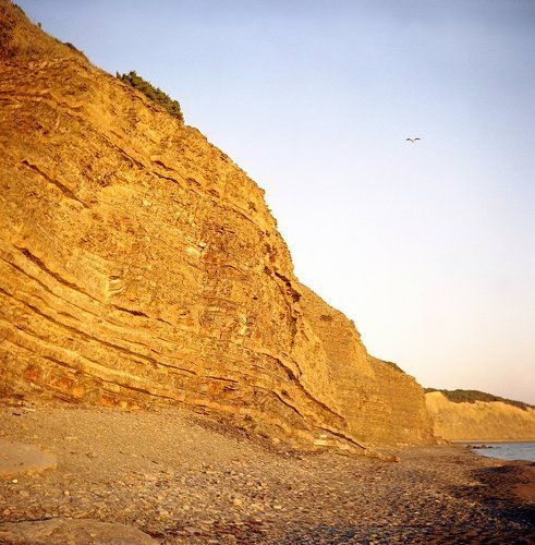 Золото Утриша