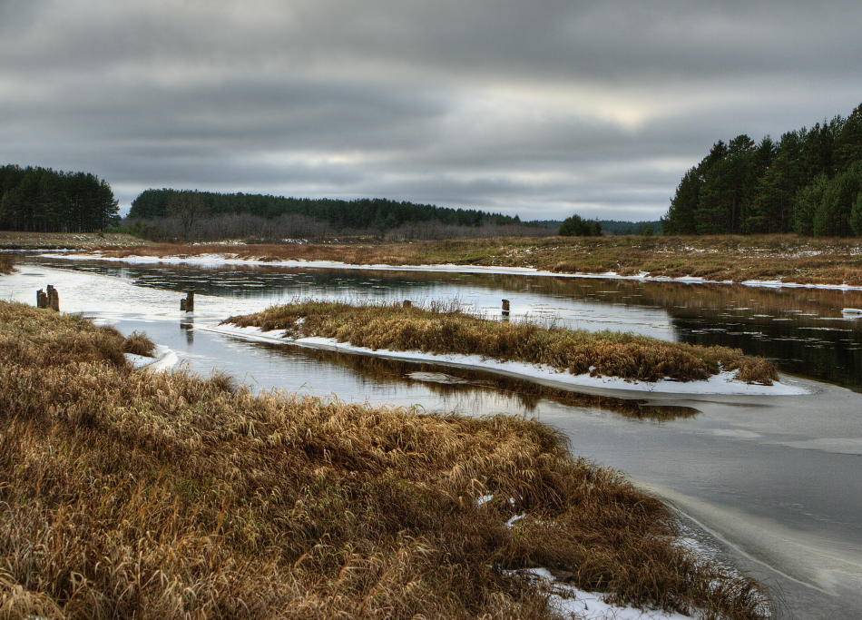 , Владимир Липецких