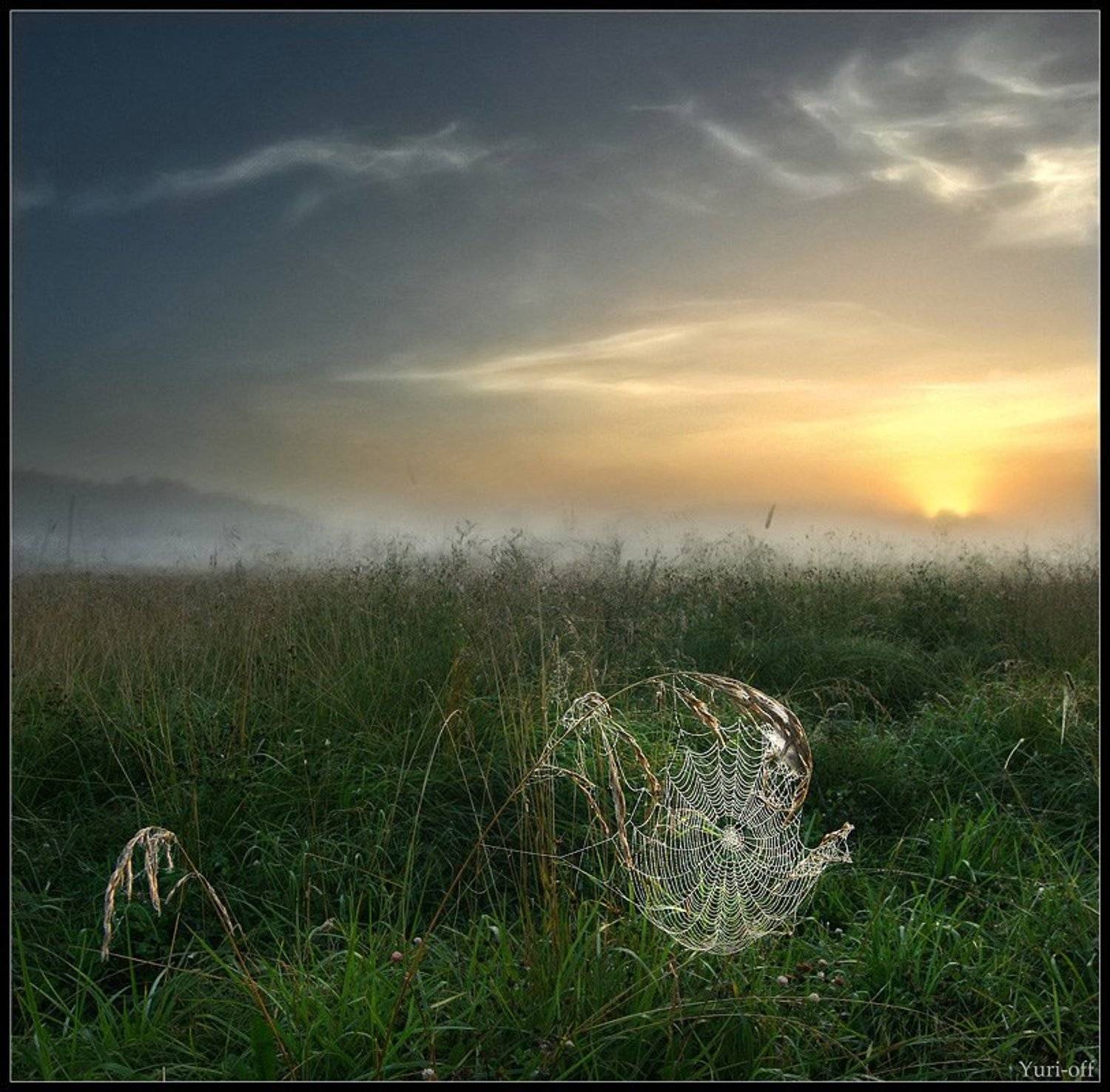 природа, Yuri Ovchinnikov