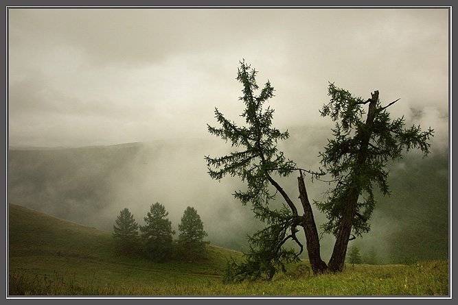 горы ,туман, Алексей