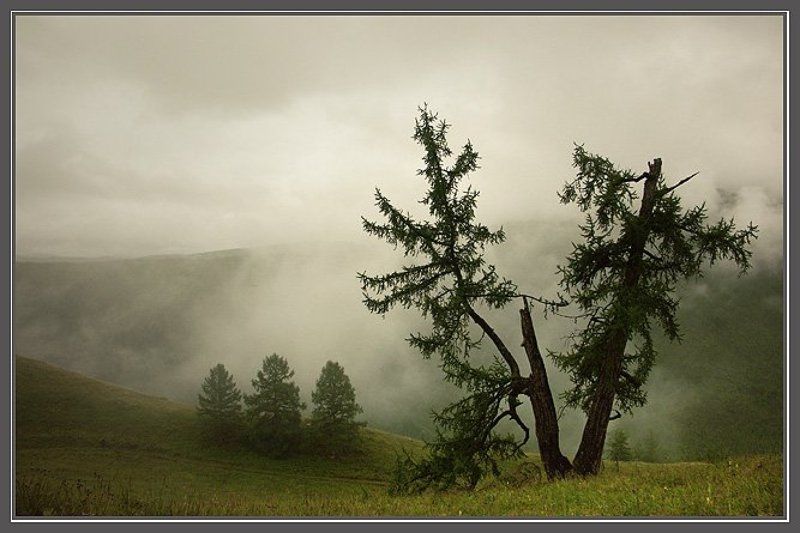 А в горах по утрам туман... фото превью