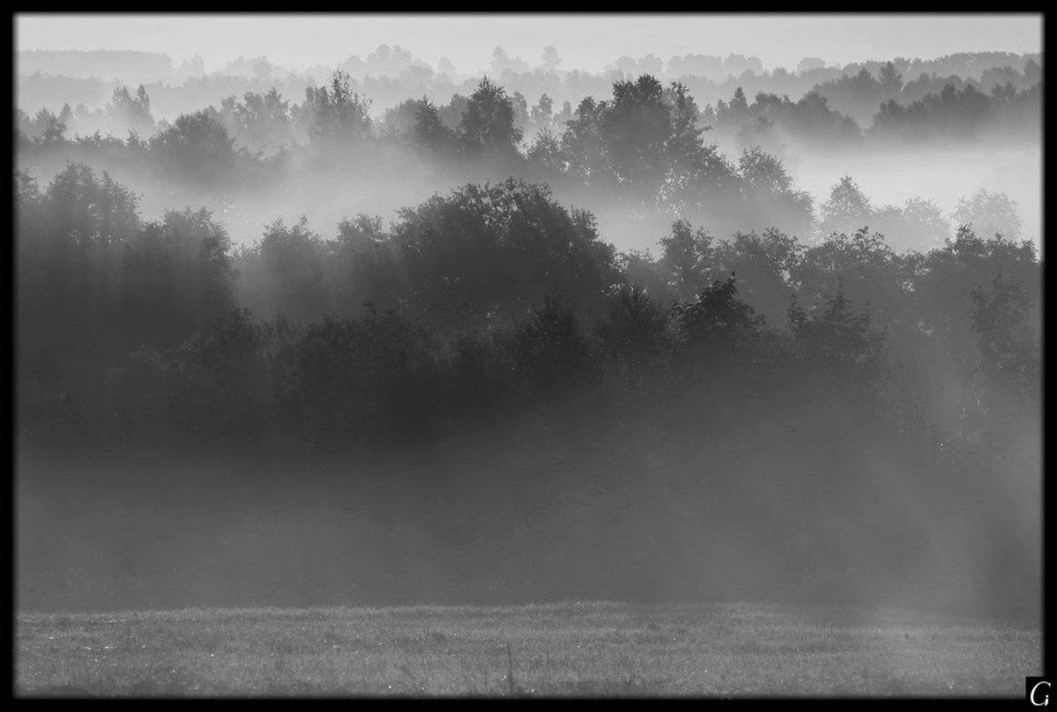 Утро, рассвет, Талашкино, струны, туман, Gorshkov Igor_Feanorus