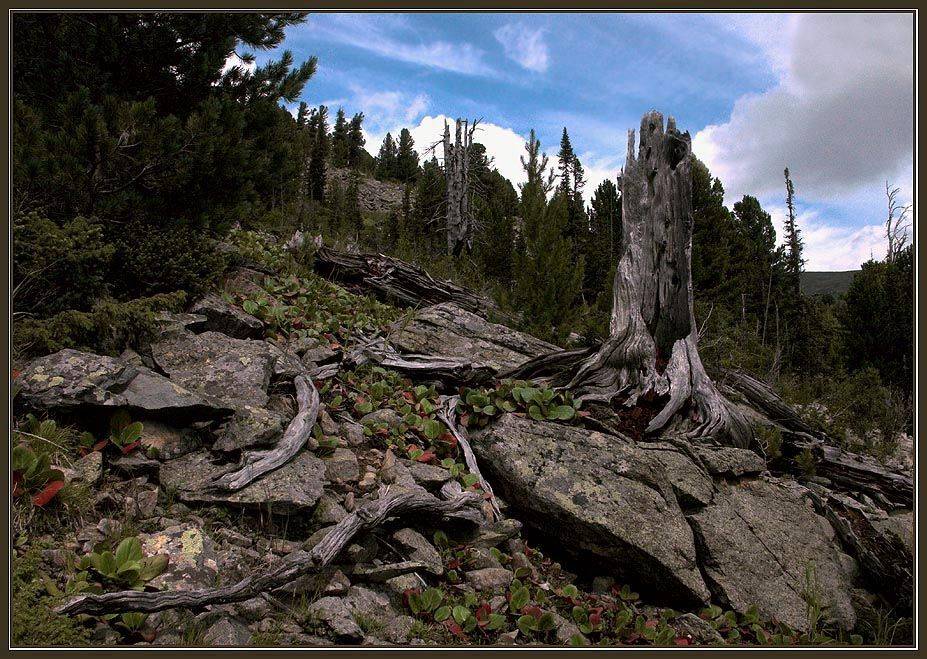 горы, камни, Алексей