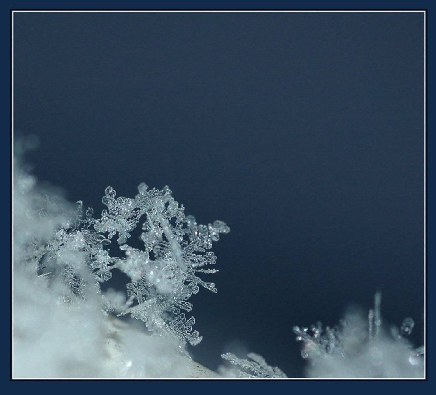 снег, Капустин Николай