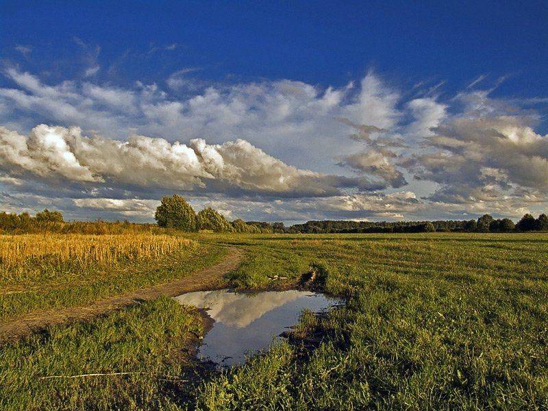 лето облака поля, Георгий